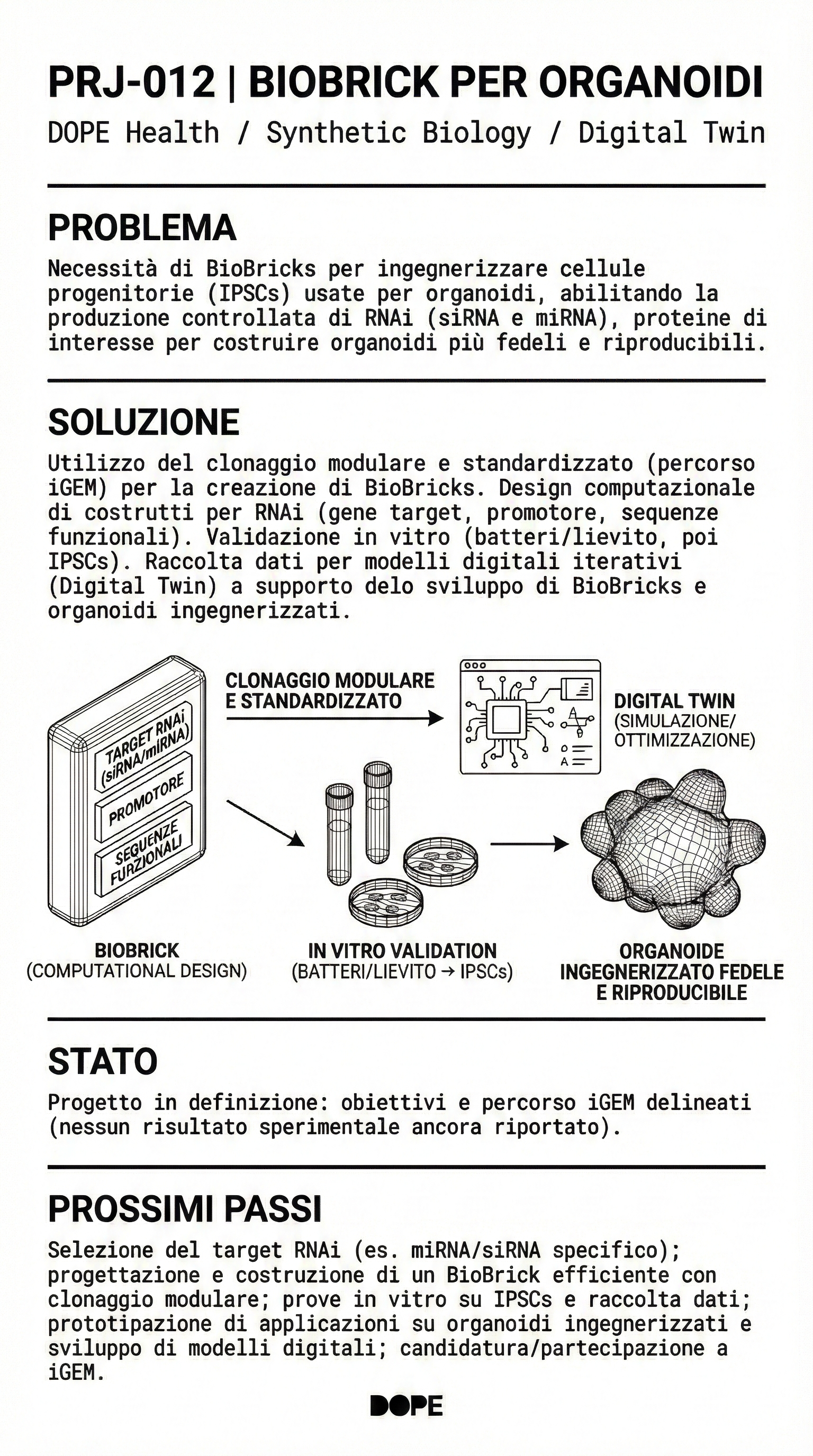Biobrick per Organoidi